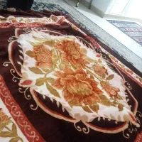 پتو نو|رختخواب، بالش، پتو|بهارستان, |دیوار