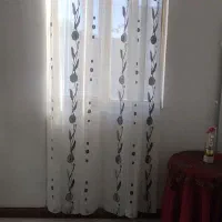 پرده حریر کاملاسالم دوعدد همین سایز