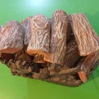 شومینه  گازی