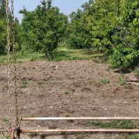 باغ برجاده|فروش دفتر صنعتی، کشاورزی، تجاری|خوی, |دیوار