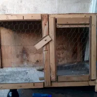 قفس چوبی کبوتر