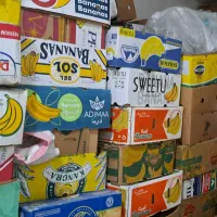 خرید و فروش کارتن موزی روزنامه