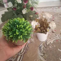 5 عدد گل های زیبا و رنگارنگ|گل مصنوعی|قزوین, |دیوار