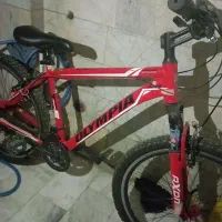 دوچرخه ۲۶ المپیا گمشده