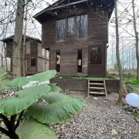 کلبه جنگلی دوبلکس همراه با امکانات ویژه