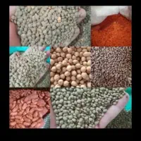 خرید وفروش حبوبات جوبهاره گندم لوبیا