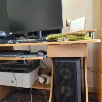 pc gaming