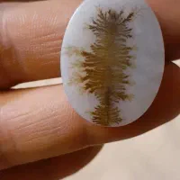 شجر|جواهرات|شاهین‌شهر, خانه کارگر|دیوار