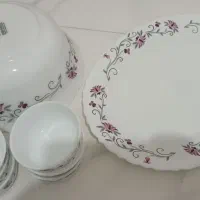 تعدادی آرکوپال گل صورتی