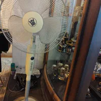 پنکه ایستاده