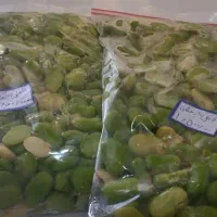 باقلی مازندرانی