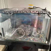 اکواریوم شیشه خم شرکتی|ماهی|پرند, فاز ۶|دیوار