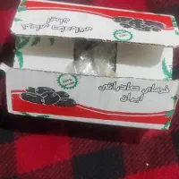 خرمای صادراتی شکری کارتون یک کیلویی