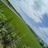 فروش زمین ۵۰۰۰ متری|فروش زمین و ملک کلنگی|آستارا, |دیوار