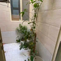 خونه ویلایی همایون ویلا|اجارهٔ آپارتمان|محمدشهر, همایون ویلا|دیوار