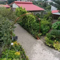 رزرف اجاره کوتاه مدت سه دستگاه ویلا