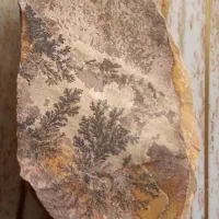 سنگ کلکسیونی زیبا|جواهرات|لنجان, |دیوار