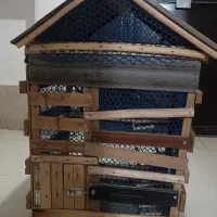 قفس پرنده|لوازم جانبی حیوانات|هشتگرد, شهرک ریحانه|دیوار