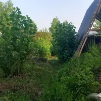 ۵۴۸متر زمین تماما مسکونی با ویلا نیمه کاره|فروش زمین و ملک کلنگی|ضیابر, |دیوار