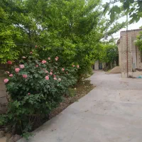 فروش زمین ۳۳۰ متری|فروش خانه و ویلا|گالیکش, |دیوار