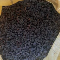 مویز سیاه گوشتی دشمن زیاری|خوردنی و آشامیدنی|شیراز, قصرالدشت|دیوار