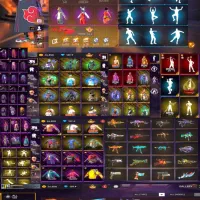 فیری فایر رایگان