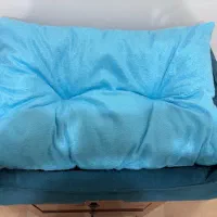 جای سگ یا گربه