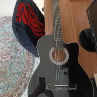 گیتار سالم