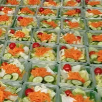 سالاد فصل و سبزی خوردن تک نفره رستورانی