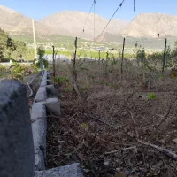 سیسخت فروش زمین باغ|فروش زمین و ملک کلنگی|سیسخت, |دیوار