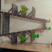 استند چوبی|کتابخانه، شلف، قفسههای دیواری|گرگان, |دیوار