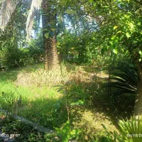 ویلا-505-متری-در-ردیف-زوج-شهرک-ایزدشهر