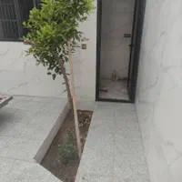 فروش مغازه ۱۷۴ متری در فجر|فروش مغازه و غرفه|اصفهان, فجر|دیوار