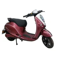 موتور برقی Es1500