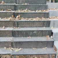 بساط کامل میوه فروشی و سینی ترازو  چادر دور