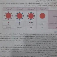 کتاب های کنکور تجربی|کتاب و مجله آموزشی|کوه چنار, |دیوار