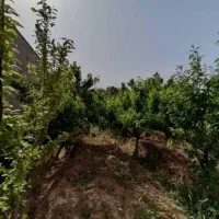 زمین کردان سهلیه سنقرآباد ۴۷۹ متر|فروش زمین و ملک کلنگی|کرج, فاز ۲ مهرشهر|دیوار