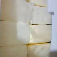 کره گاو خونگی تروتمییر