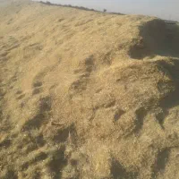 گاه دیم 30تن|لوازم جانبی حیوانات|کبودرآهنگ, |دیوار