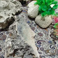 سنگ اکواریوم