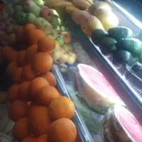 نیازمند شریک(بستنی و پالوده در شیراز و دبی)|استخدام مالی، حسابداری، حقوقی|شیراز, باغ تخت|دیوار