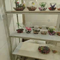 تنگ ماهی|ماهی|قم, شاه ابراهیم|دیوار