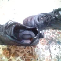 کفش مردانه کارکرده|کیف، کفش، کمربند|گرگان, |دیوار