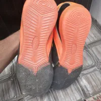 کفش سالنی فوتسال|کیف، کفش، کمربند|استهبان, |دیوار