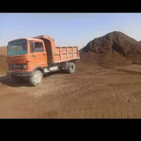 کود حیوانی گوسفندی وکود گاوی