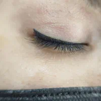 رایگان برای سه مدل اول میکرو ابرو، خط چشم،شیدینگ|خدمات آرایشگری و زیبایی|رشت, استادسرا|دیوار