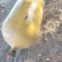 کپسول سی ان جی