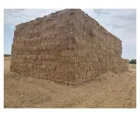 کاه گندم پرس