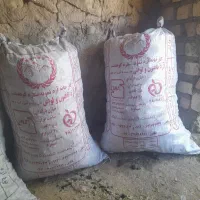 کوهنوردی و کمپینگ|کوهنوردی و کمپینگ|کوهدشت, |دیوار