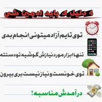 کسب درآمد آنلاین / در آمد روزانه|استخدام رایانه و فناوری اطلاعات|بندر انزلی, جهانگانی|دیوار